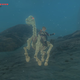 Illustration for article titled iArk: Survival Evolved/i Horse Taming Is Almost Exactly Like iZelda/is